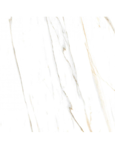 Pudico Square Pulido 74 X 74